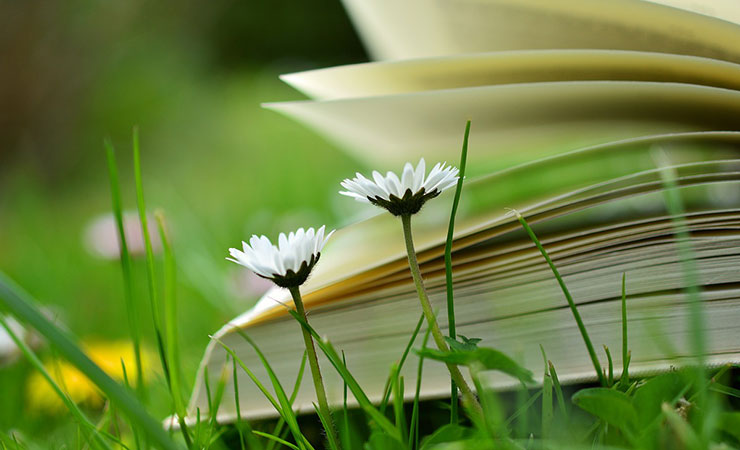 本と花